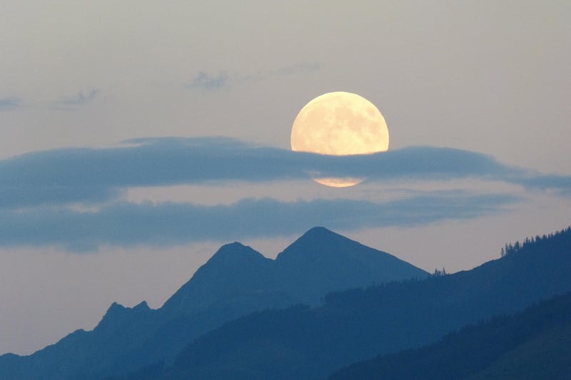 Moonlit Serenade